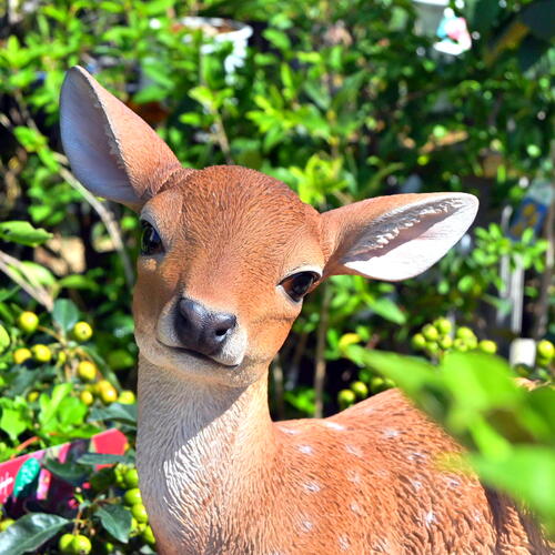 楽天市場】鹿の置物 うつぶせリアルな置物 かわいい置物 置物青丹良子