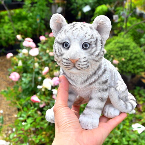 楽天市場】ネコ科 赤ちゃん ホワイトタイガー置物 かわいい置物