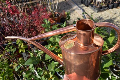 楽天市場】高級銅製水差し水差し ジョウロ 銅製 おしゃれ かわいい玄関