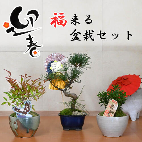 楽天市場 | 園芸百貨店何でも揃うこぼんさい - 春 夏 秋 冬 日本の四季