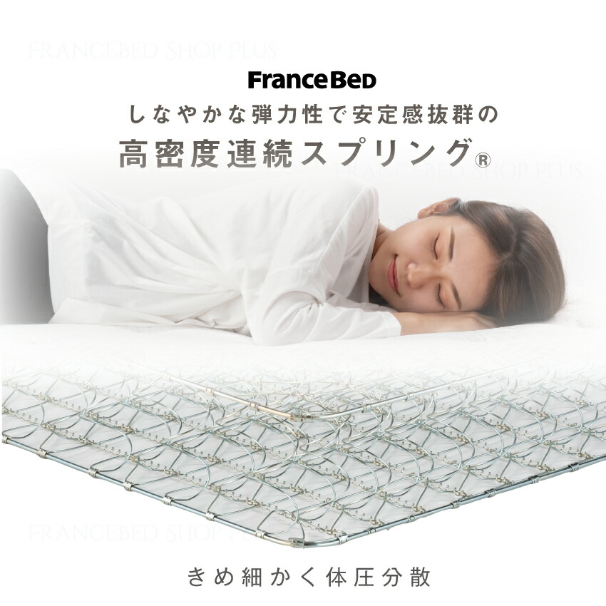 楽天市場】【5,000円OFFクーポン＆PT10倍】【プレゼントあり】フランス