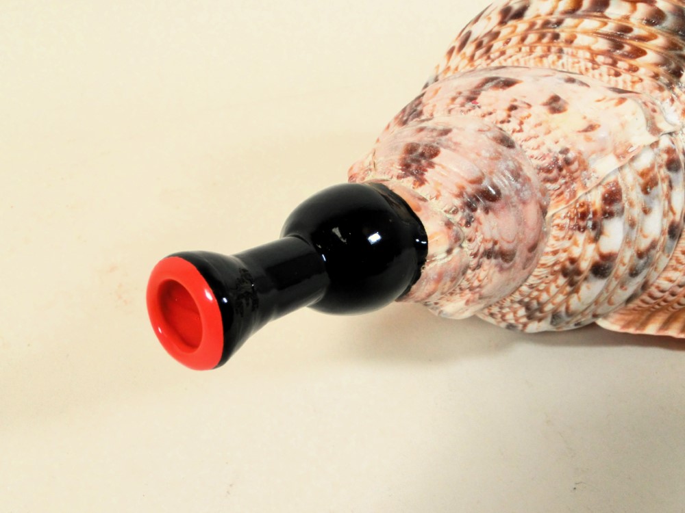 楽天市場】【法螺貝】ほら貝 大 37センチ : 三島屋楽器