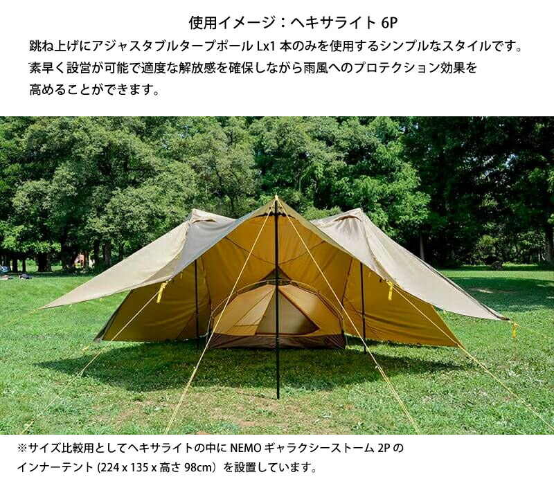 楽天市場】【5日は！枚数限定 最大1,000円OFFクーポン】ニーモ