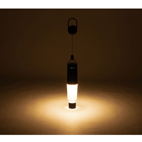 楽天市場】【5日は！枚数限定 最大1,000円OFFクーポン】スノーピーク