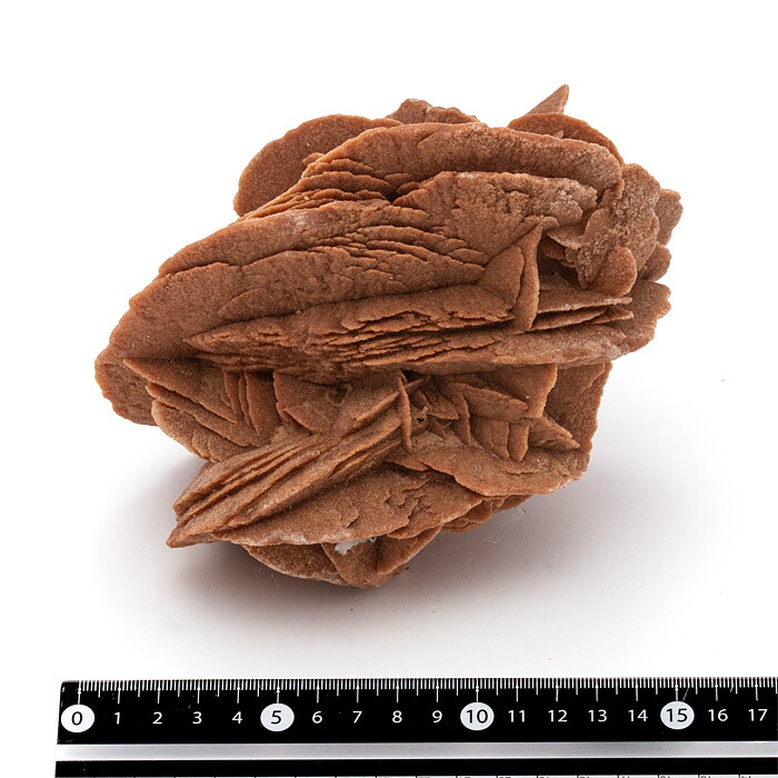 楽天市場】砂漠のバラ （デザートローズ） 赤 （アルジェリア産） No