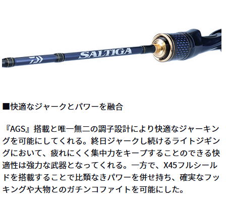 楽天市場】【大型商品（260サイズ）】【ダイワ】22 ソルティガ LJ