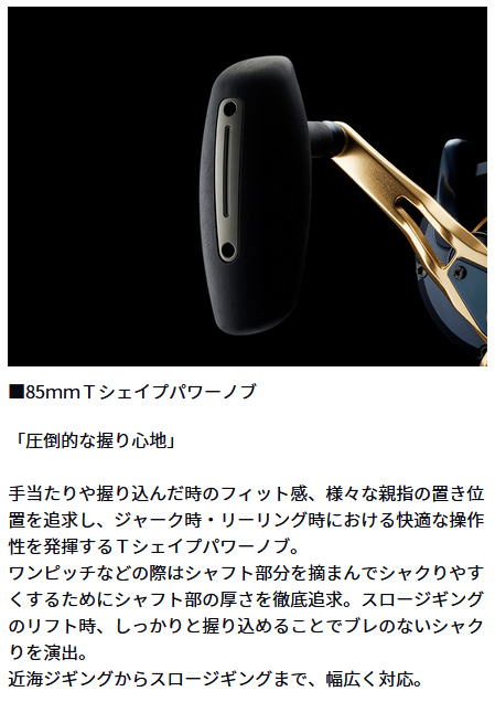 楽天市場】【ダイワ】22 ソルティガ 15HL（左）【4550133125607