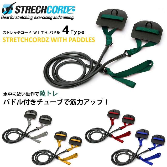 楽天市場】ストレッチコード with パドル 【水泳練習用具】STRECHCORDZ