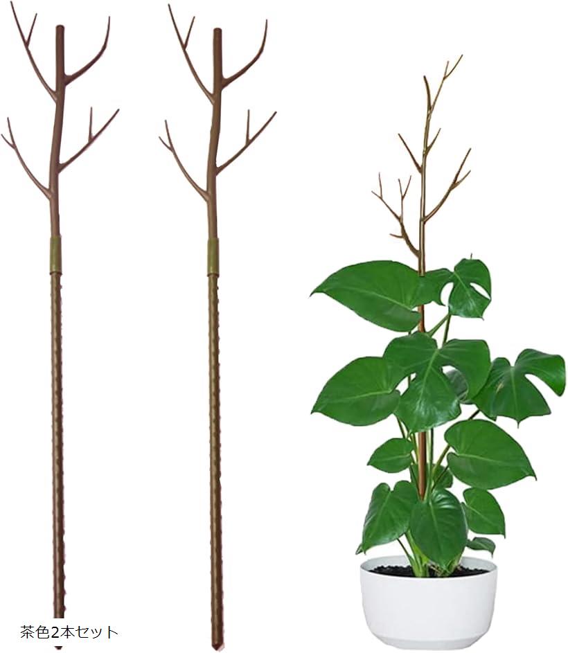 楽天市場】支柱 観葉植物 園芸 2本セット 添え木 支え イボ竹 観葉植物