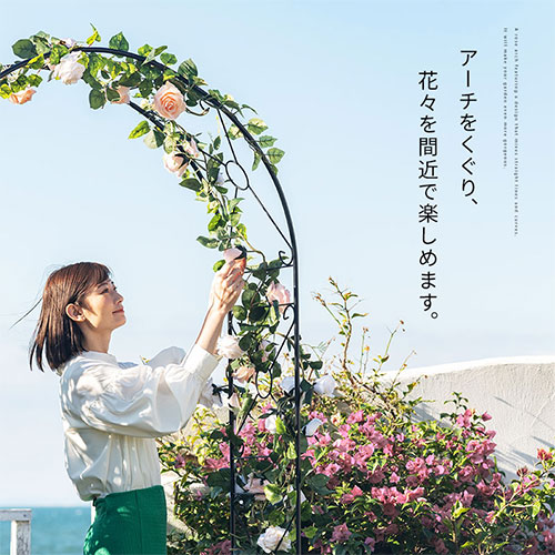 楽天市場】ガーデンアーチ ローズアーチ クレマチス ガーデニング つる