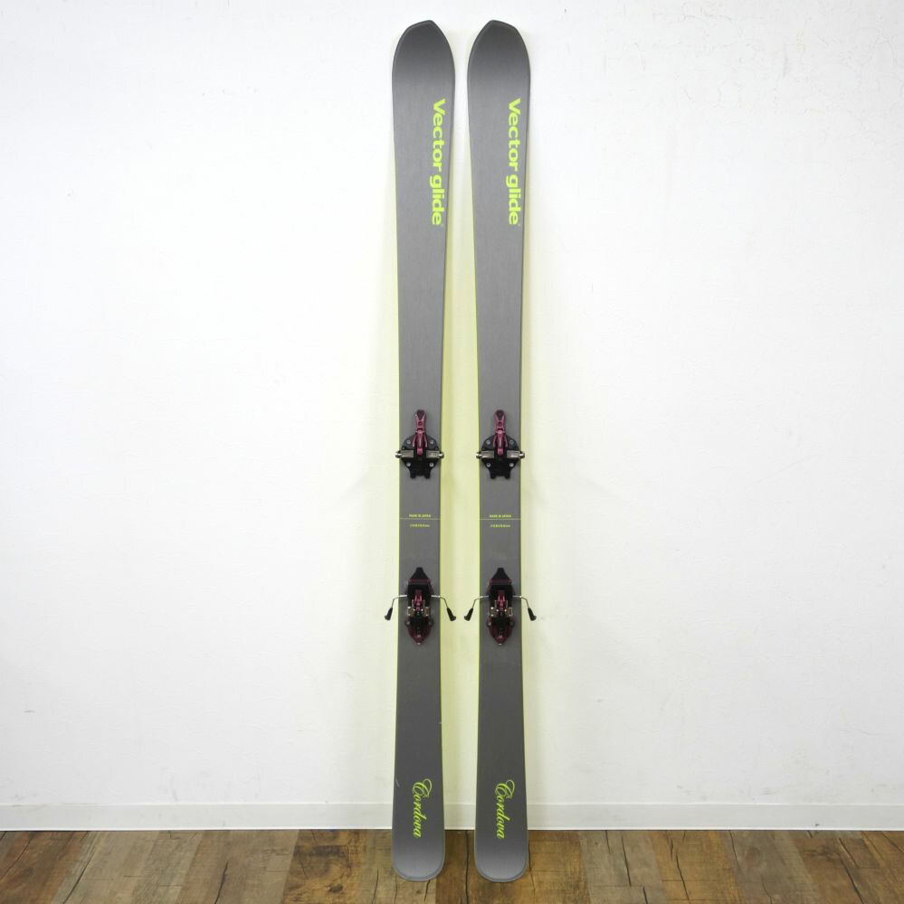 楽天市場】RB Re Birth RIOT SKI 150 160 170ライオットスキー 2022
