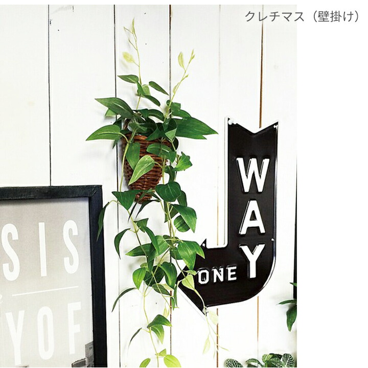 楽天市場】光触媒インテリアグリーン 壁掛け＆吊り下げ・半永久的に消