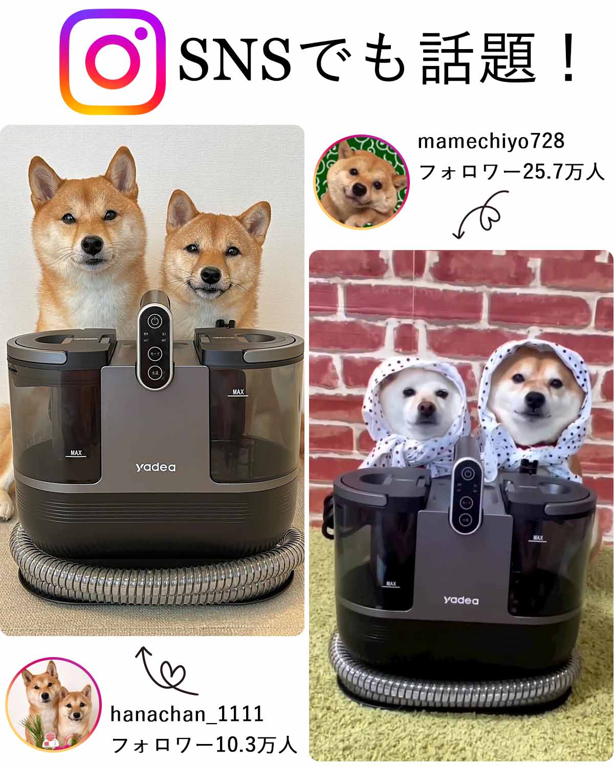 楽天市場】【TV紹介】Yadea カーペットクリーナー カーペット洗浄機