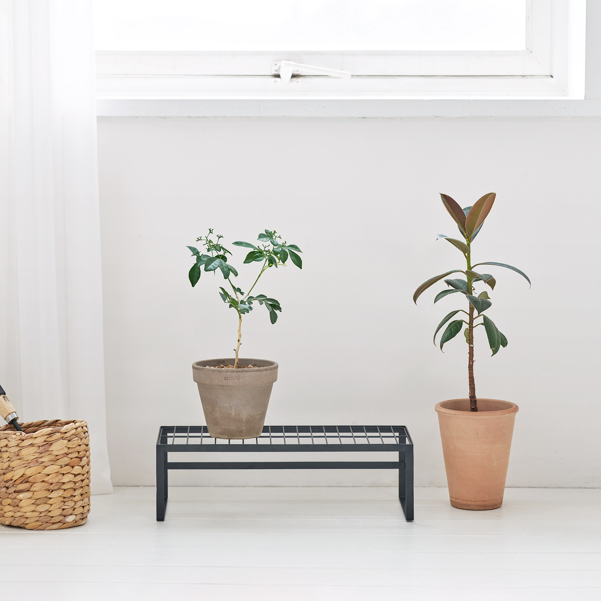 楽天市場】[ルームアンドホーム] 雑貨 フラワースタンド 観葉植物