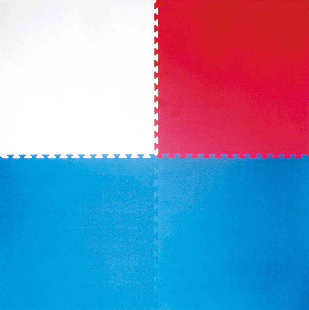 楽天市場】ジョイントマット(リバーシブル)送料無料空手 マット 幼稚園