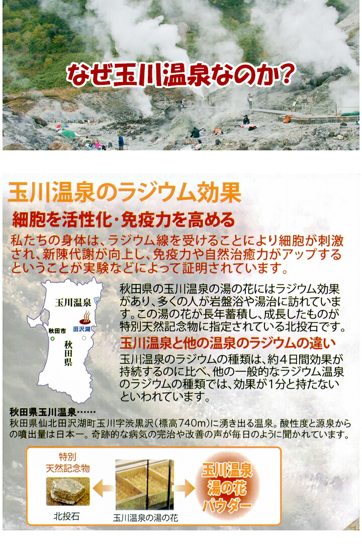 楽天市場】☆豪華プレゼント付/ 玉川岩盤浴ふとん DX ダブル ラジウム