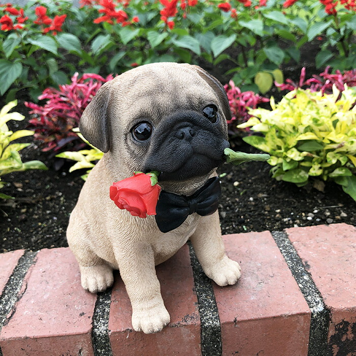 楽天市場】パグオブジェ【ジェントル】オーナメント リアル かわいい