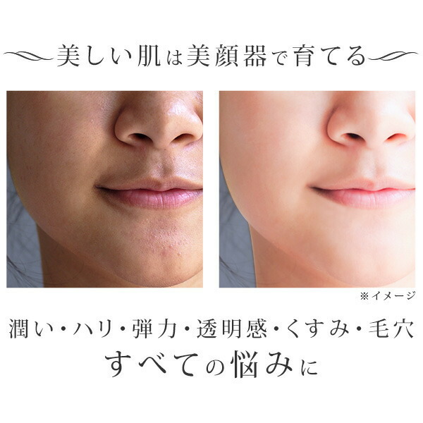 楽天市場】美顔器 ツインエレナイザープレミアム ホームエステDX