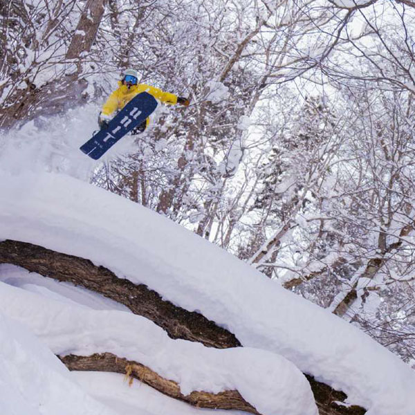 楽天市場】25-26 ユニット ラビット UNIT RABBIT スノーボード 板 25