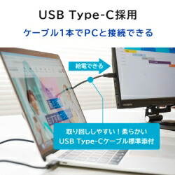 楽天市場】【送料無料】 アイ・オー・データ機器 モバイルディスプレイ
