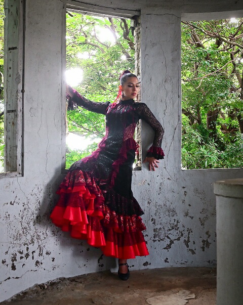 楽天市場】新ブランドnajanaja フラメンコ衣装 ワンピース 情熱 黒と赤