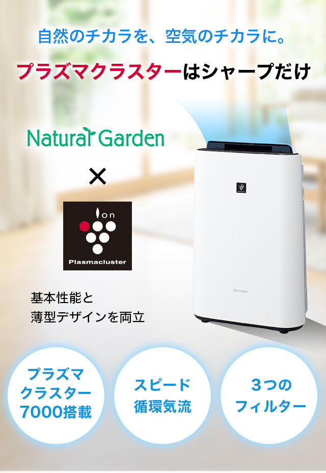 楽天市場】【ポイント最大47倍＆最大8％OFFクーポン3/11 9:59まで