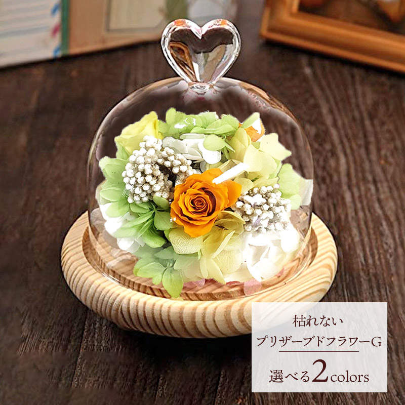 楽天市場】エントリーでP17倍! SOUP ガラスドームアレンジメント 枯れ