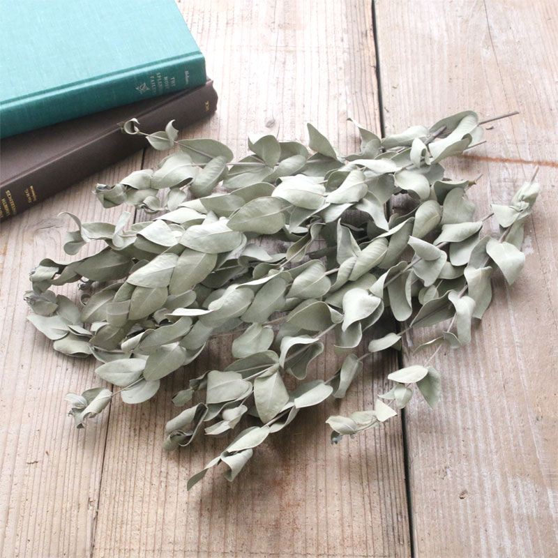 楽天市場】ユーカリグニー ドライフラワー 10本セット （長さ約25~30cm