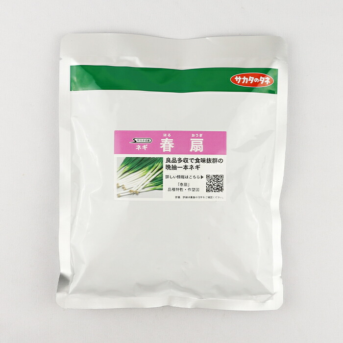 ネギ種子 関羽 5000粒 有効期限26年7月 野菜種子 一本ネギ「関羽一本太