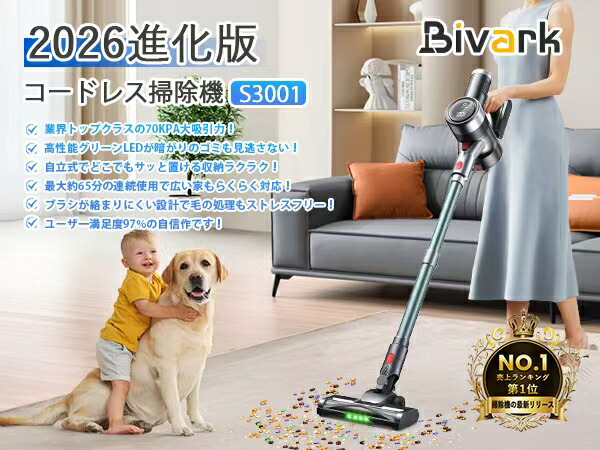 ☆Bivark コードレス掃除機 バッテリー2つ付き 状態良し 付属品完備