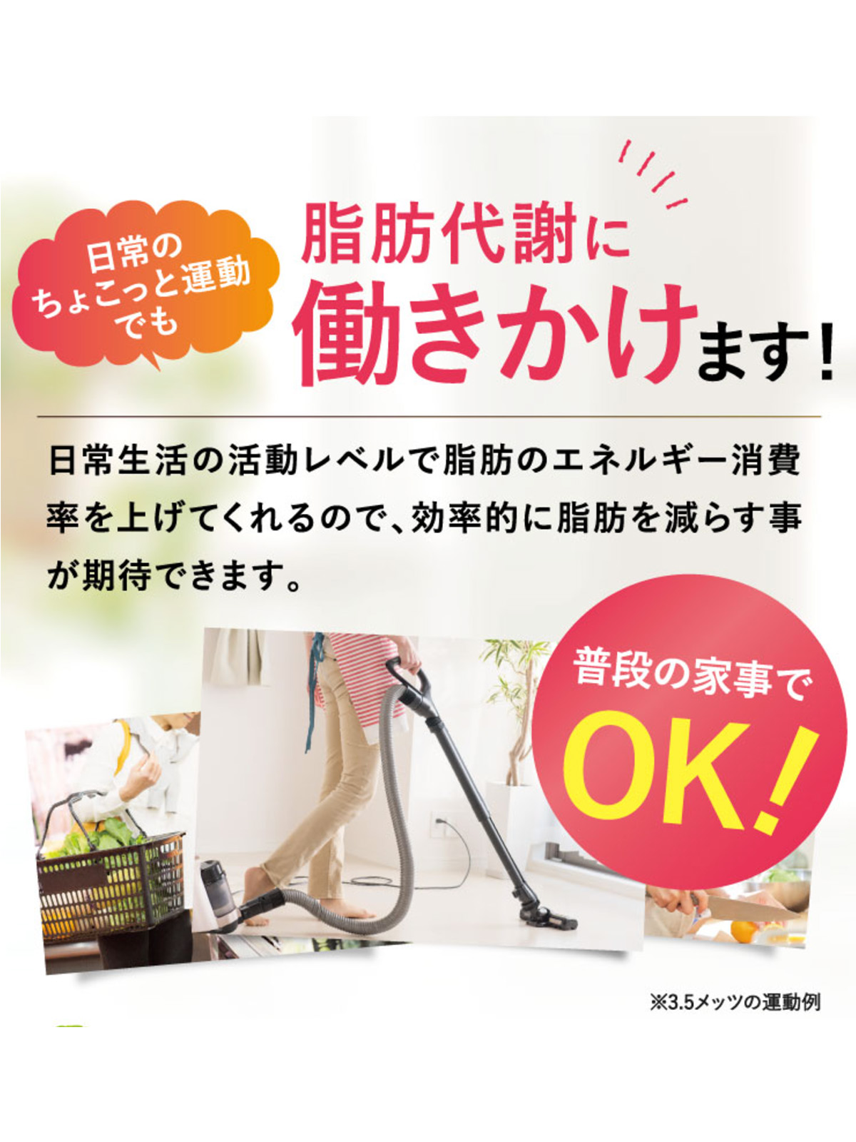 楽天市場】【15%OFF】【公式】フラボス FLAVOS ニコリオ ダイエット