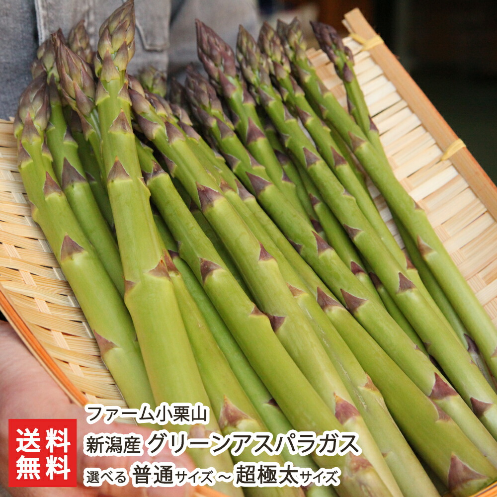 楽天市場】新潟産 グリーンアスパラガス 1kg 選べる 普通サイズ