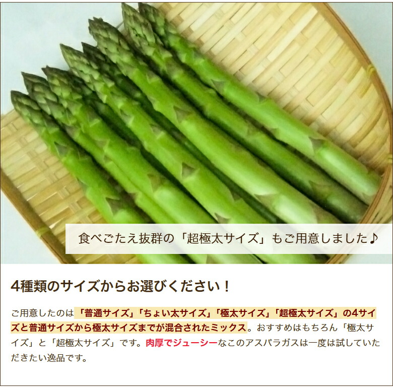 楽天市場】新潟産 グリーンアスパラガス 1kg 選べる 普通サイズ