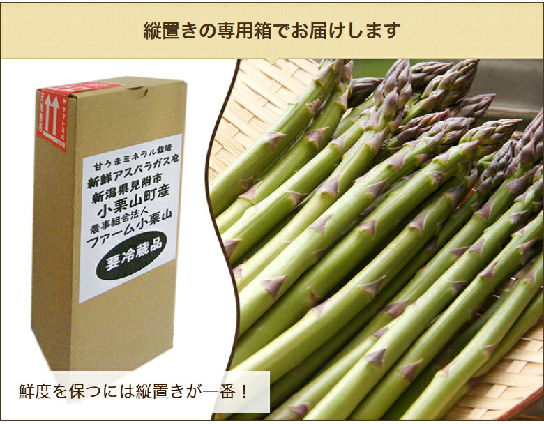 楽天市場】新潟産 グリーンアスパラガス 1kg 選べる 普通サイズ