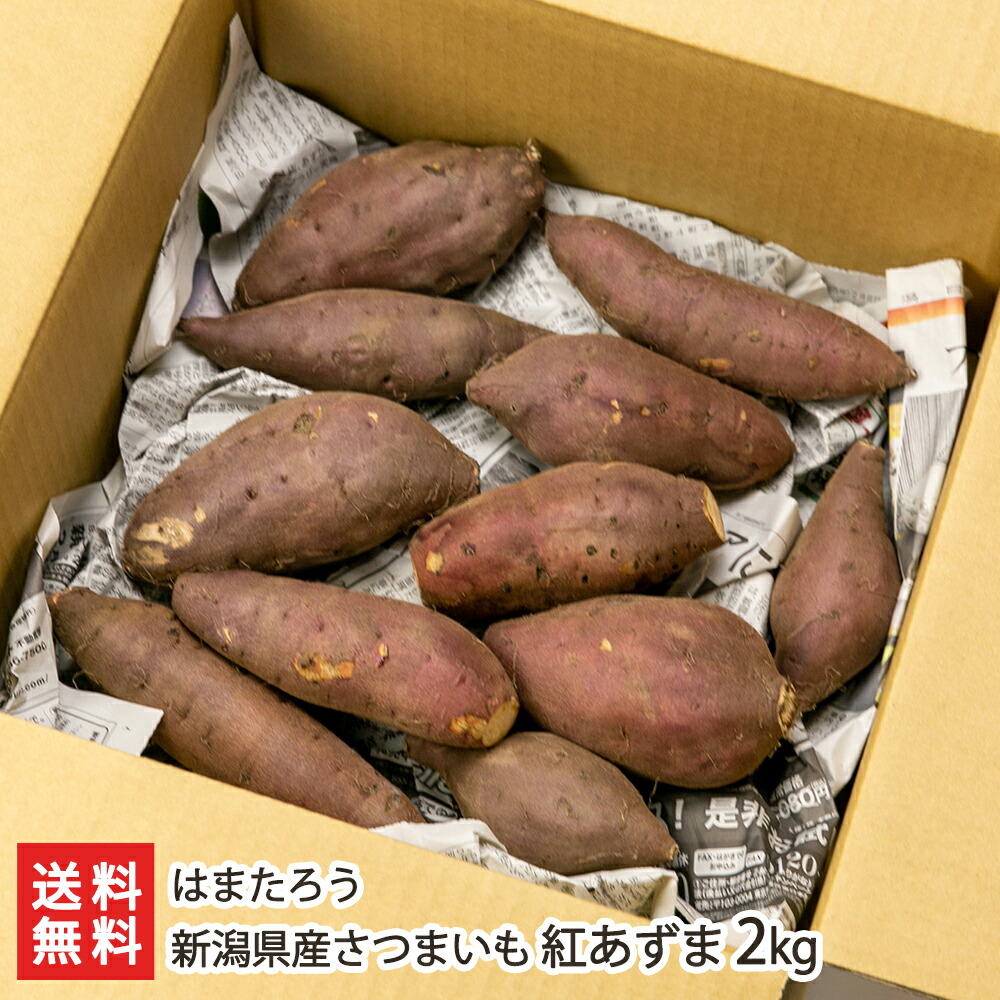 楽天市場】新潟県産さつまいも 紅あずま 2kg はまたろう はまたろう