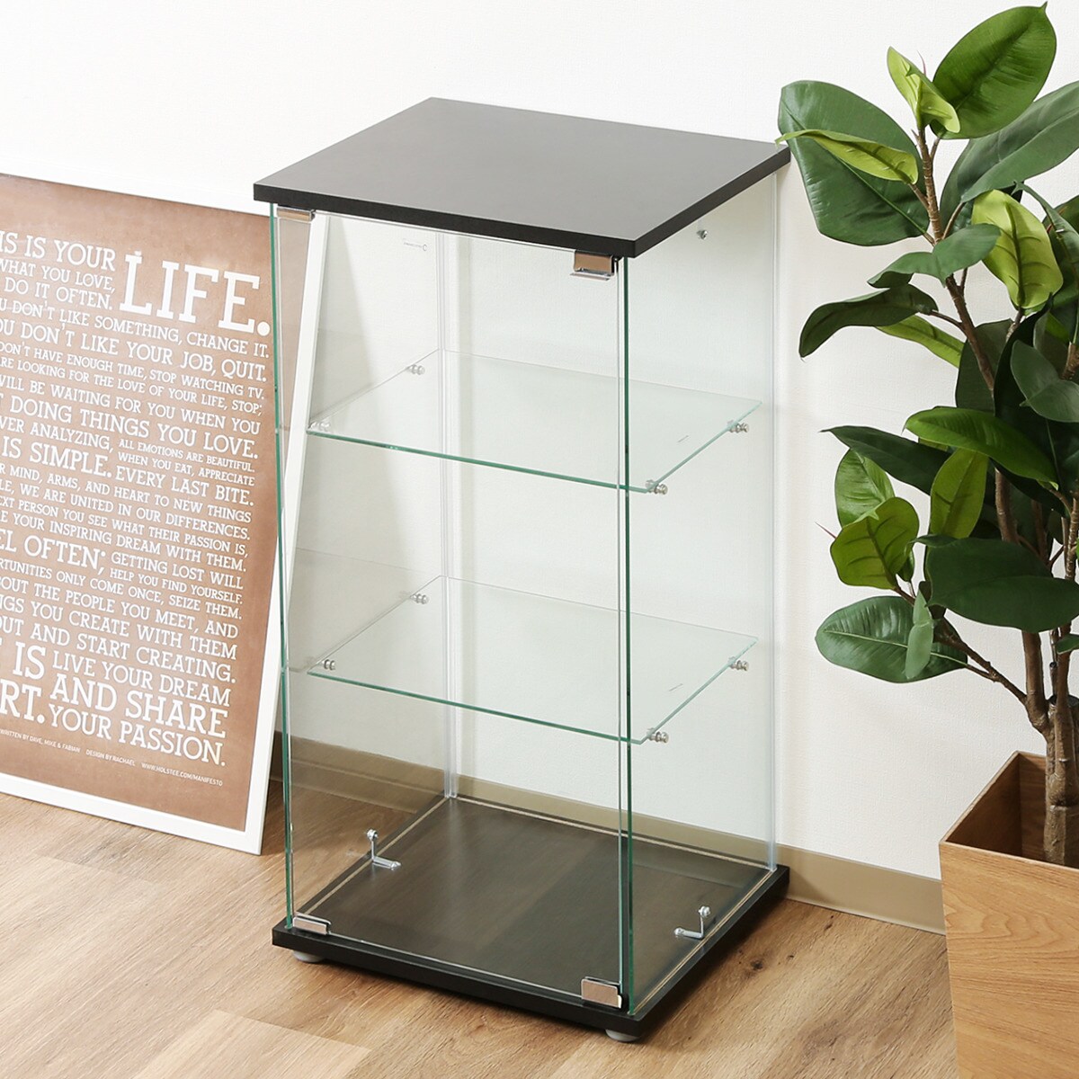 楽天市場】ガラスコレクションケース (クリアタイプ) ニトリ