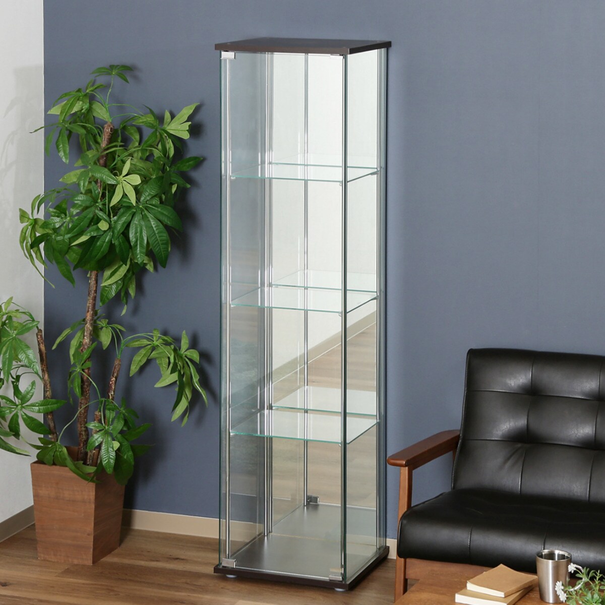 楽天市場】ガラスコレクションケース4段 背面ミラー付きの通販
