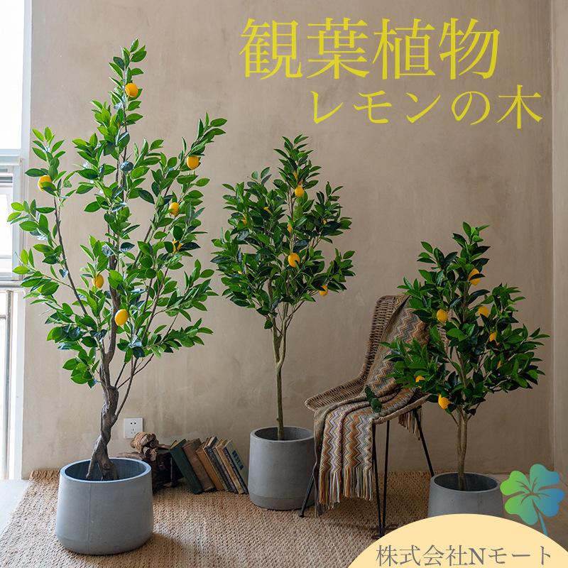 楽天市場】☆観葉植物☆ 造花 レモンの木 檸檬 全高約130cm フェイク