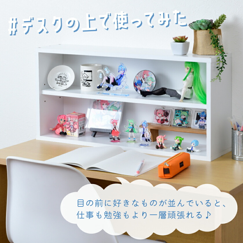 楽天市場】【5日限定☆全品☆10%OFFクーポン】 薄型 ディスプレイ棚