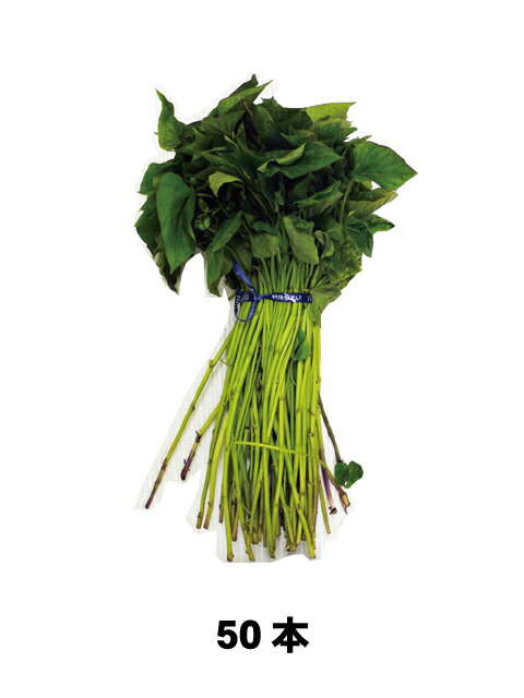 楽天市場】さつまいも苗 【 べにはるか 】 50本 【予約販売 芋づる