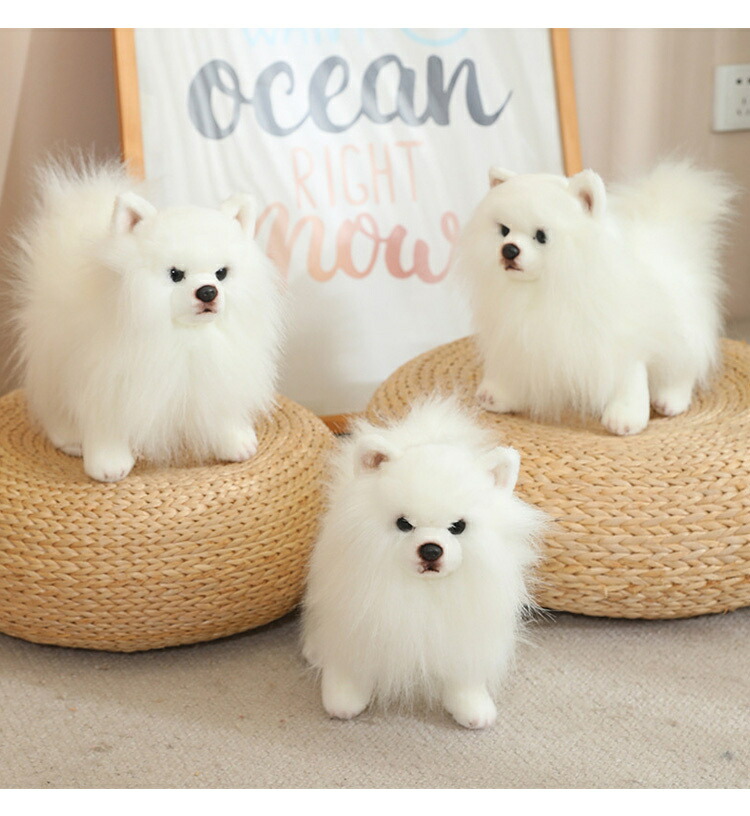 楽天市場】ぬいぐるみ ポメラニアン 犬 リアル 本物そっくり 生々しい