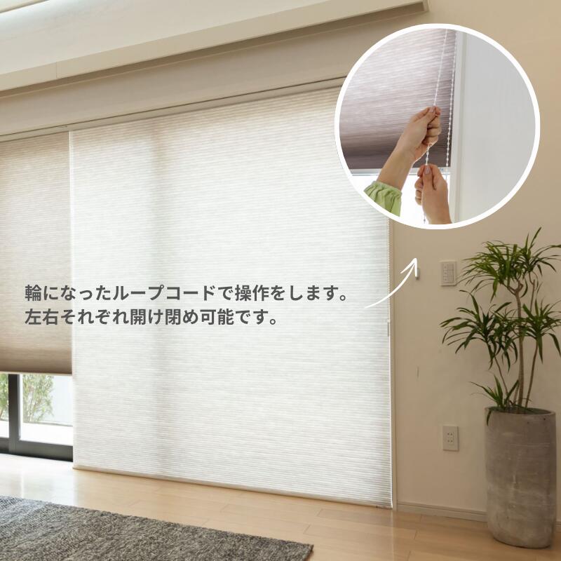 楽天市場】断熱にダブルハニカム 大きな窓用連装タイプハニカムサーモ