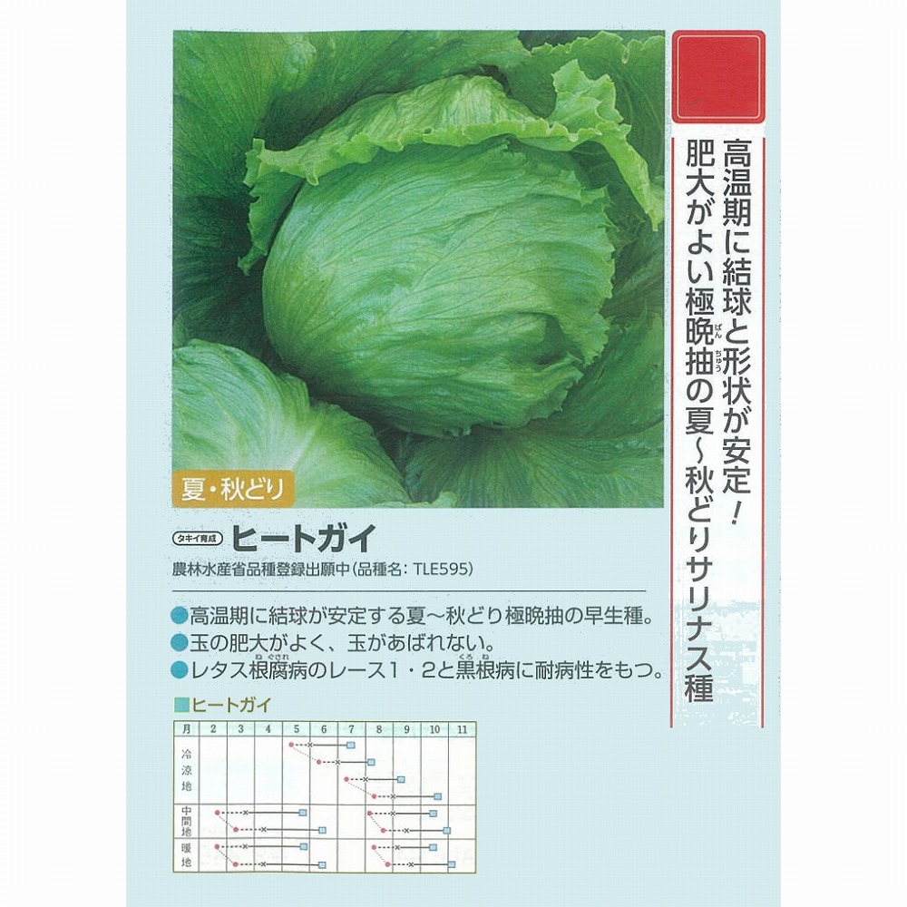 楽天市場】【レタス】ヒートガイ〔タキイ育成〕 / ペレット5000粒