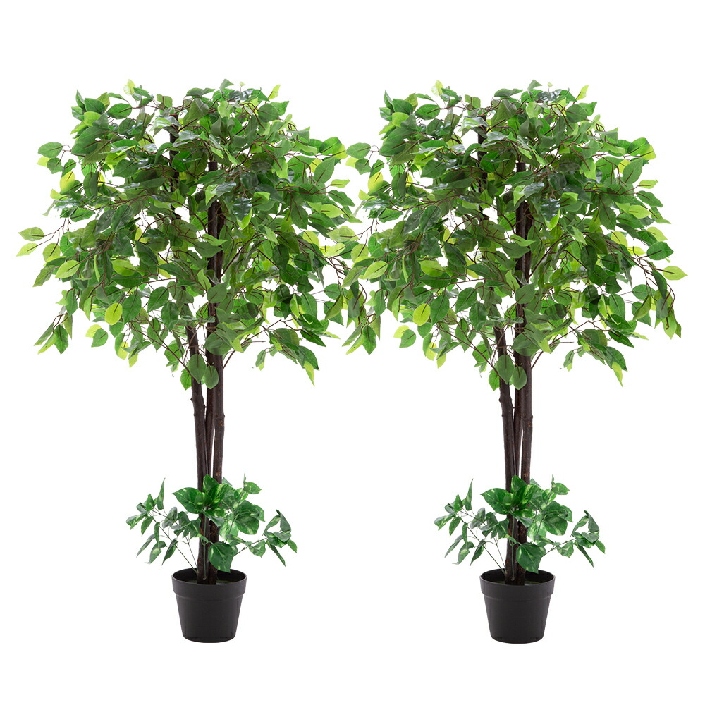 楽天市場】人工観葉植物 光触媒 ベンジャミン 2本セット フェイク