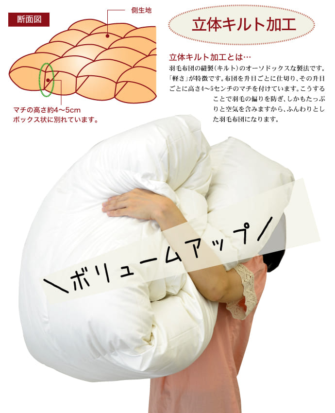 楽天市場】＼スーパーSALE ポイントUP中／羽毛布団 シングルサイズ ザ