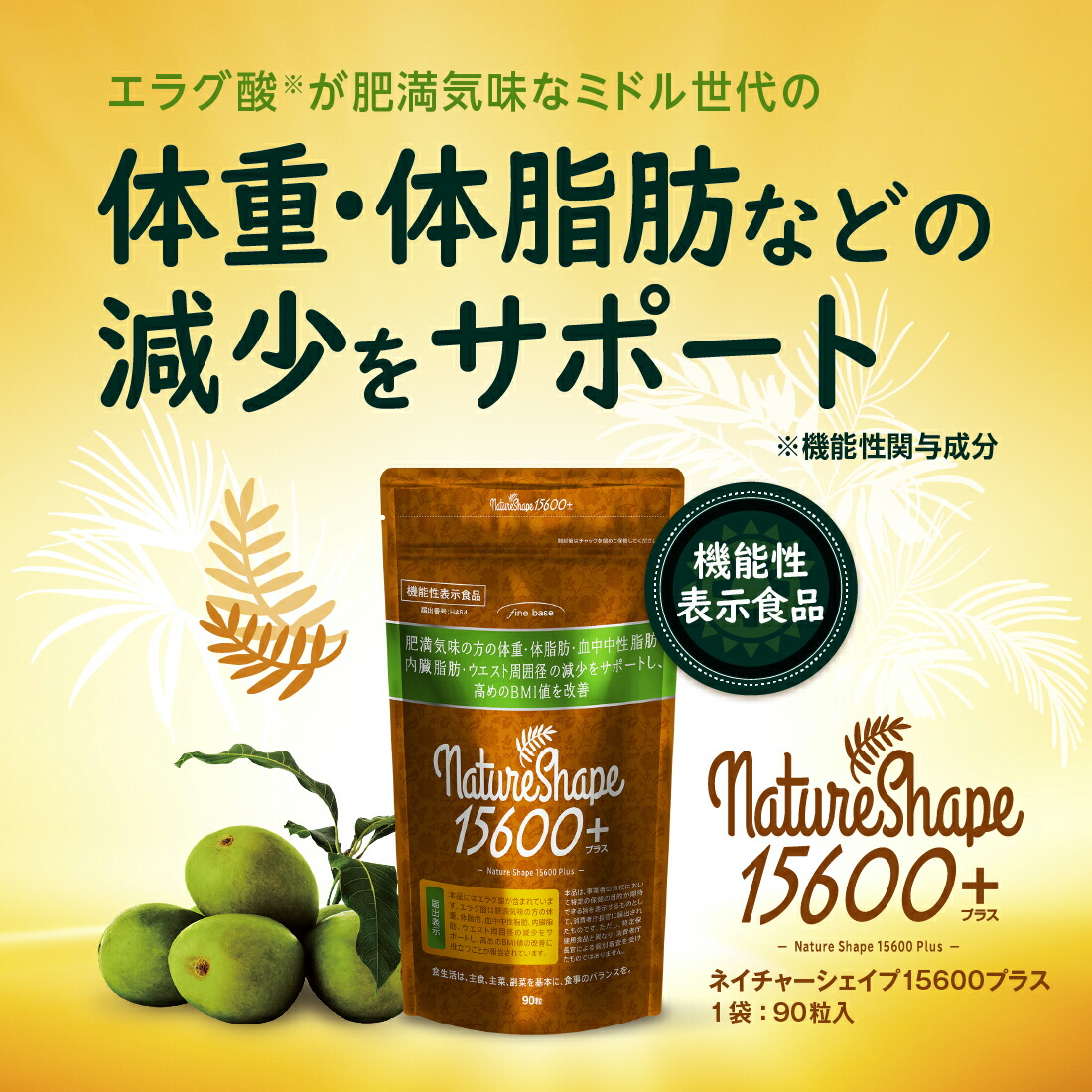 楽天市場】【楽天スーパーSALE 10%OFF】finebase ネイチャーシェイプ