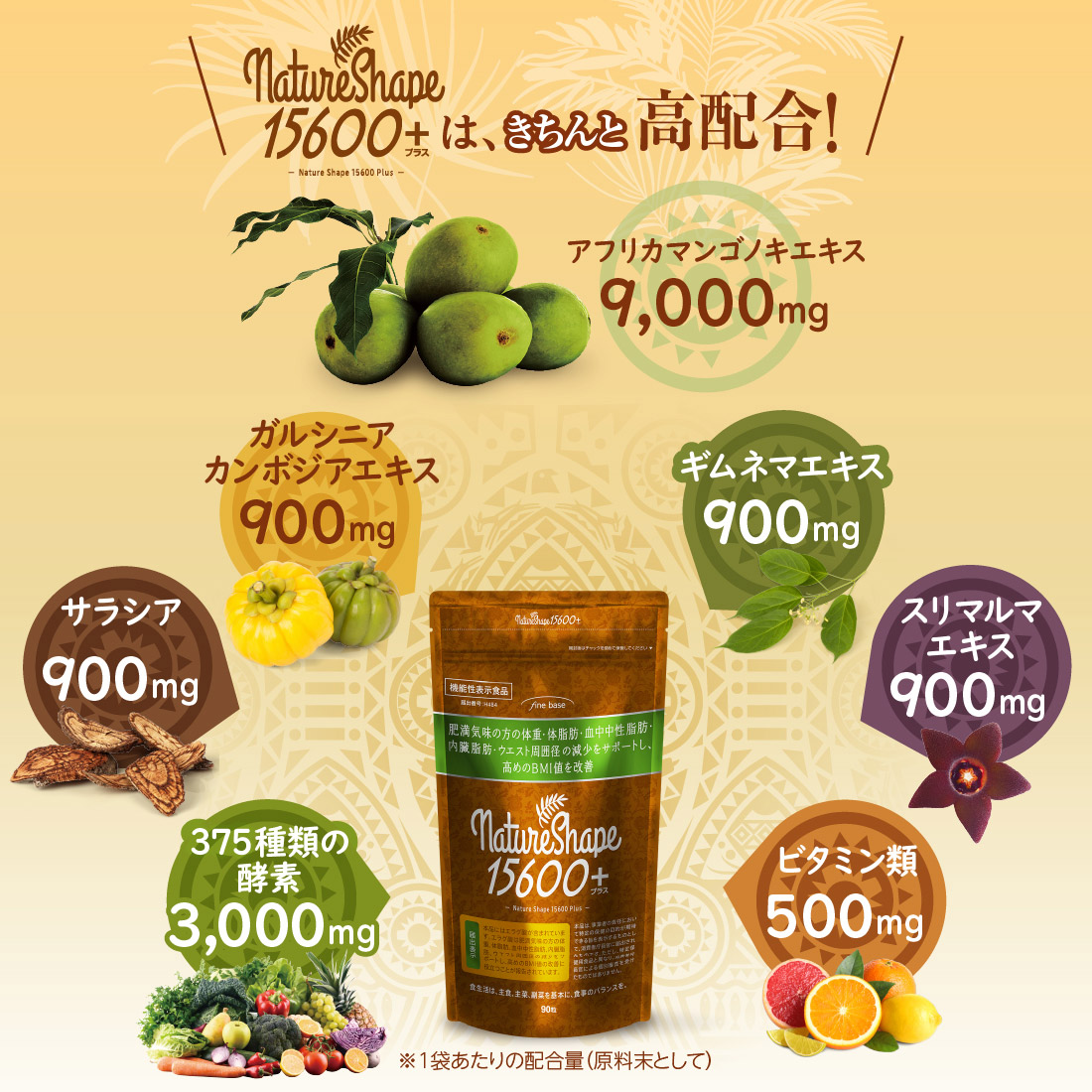 楽天市場】【楽天スーパーSALE 10%OFF】finebase ネイチャーシェイプ