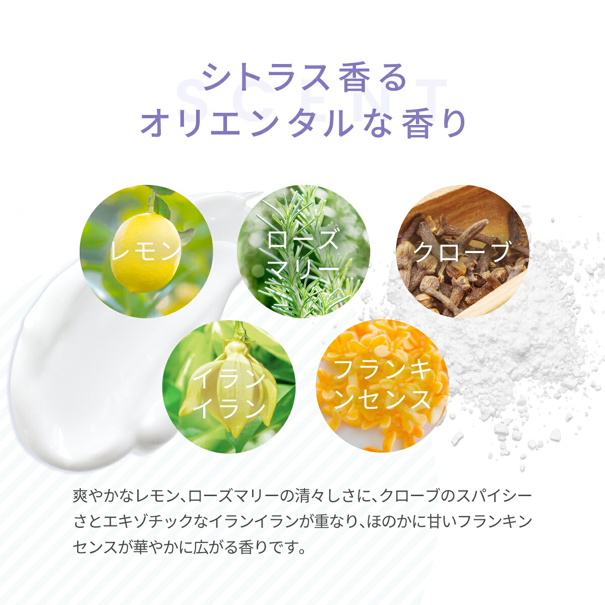 楽天市場】▽ H2 ONEST オネスト ホームケア トライアルセット【セット