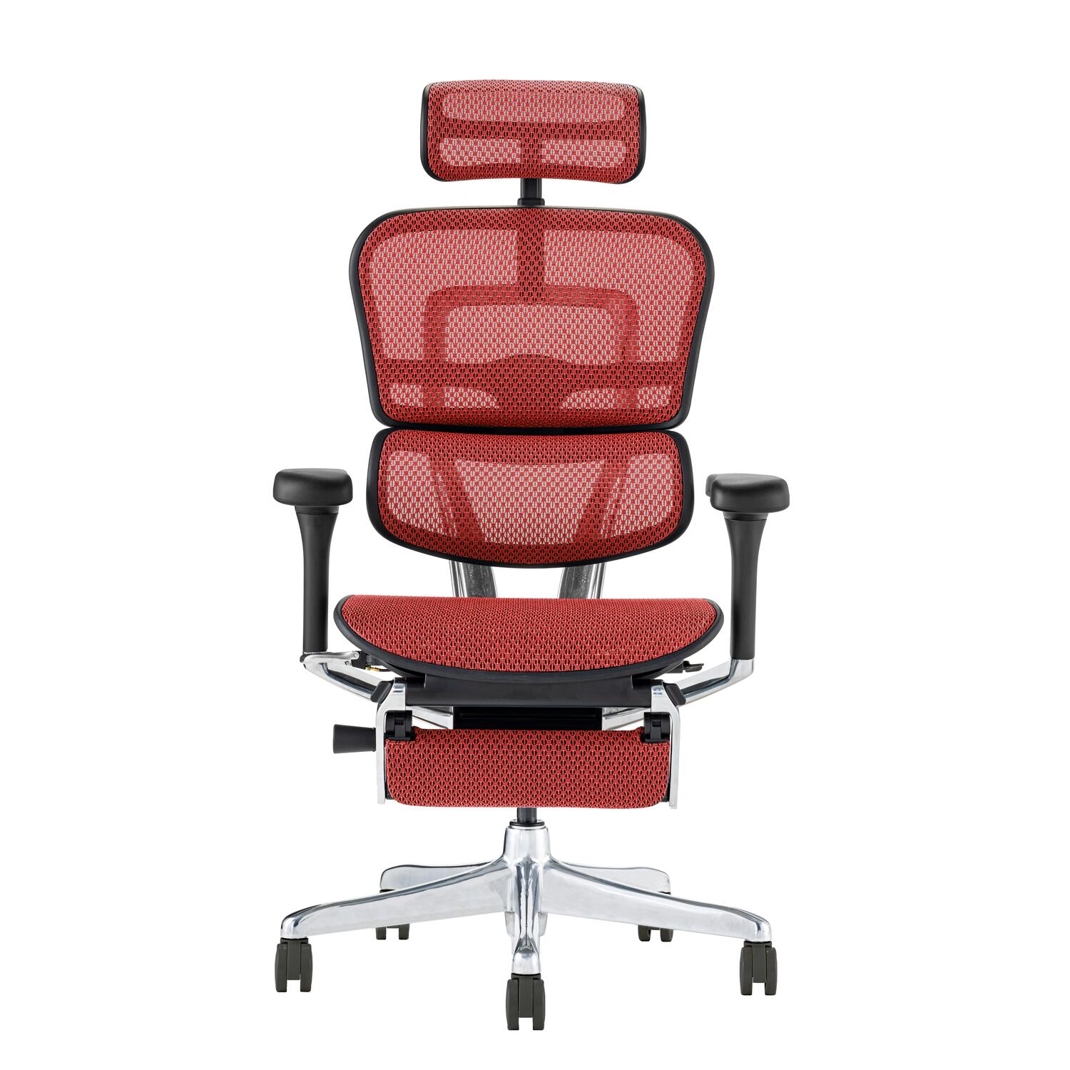 楽天市場】クーポン有 25年2月発売新モデル【組立不要の特約店メーカー