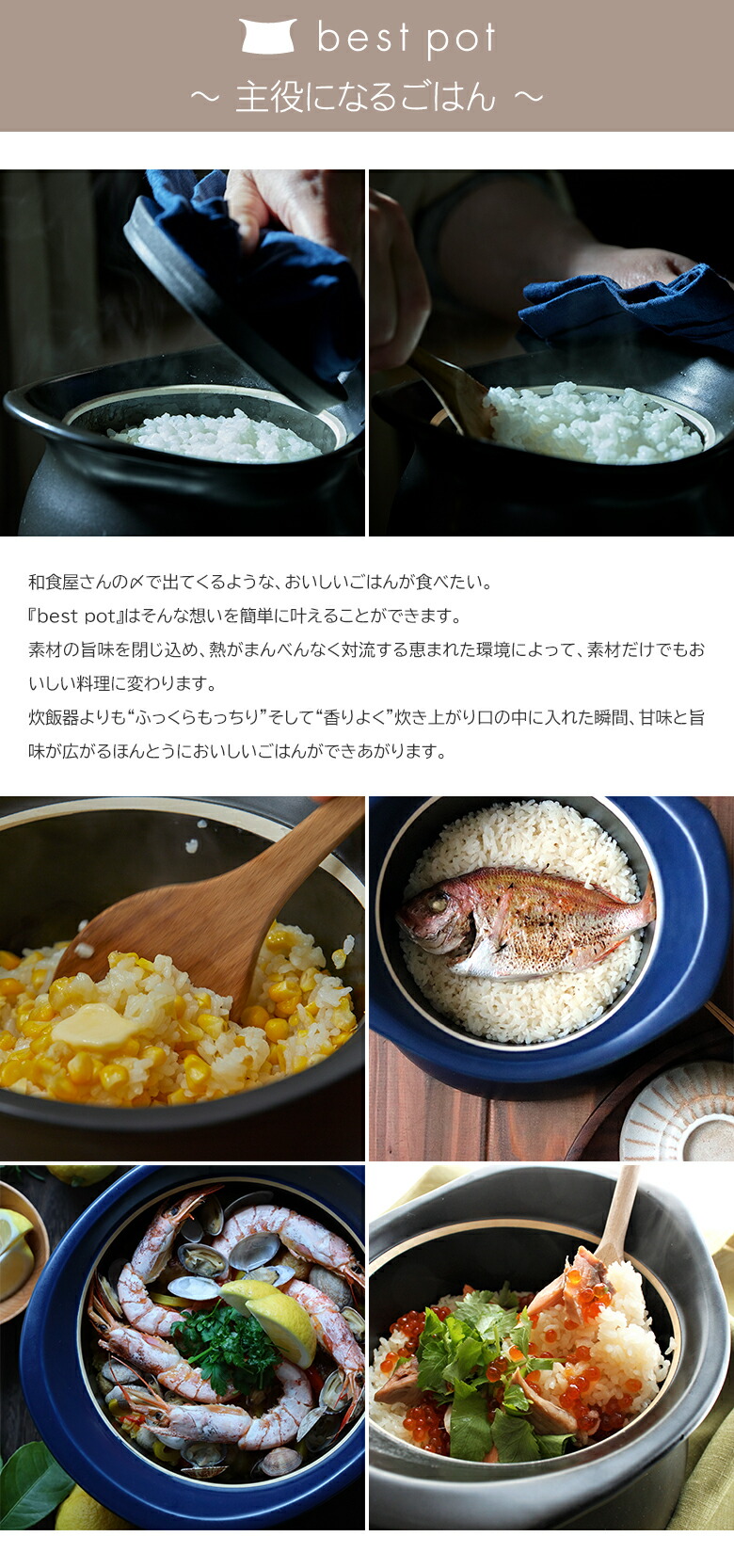 楽天市場】ベストポット bestpot IH対応 土鍋 炊飯【20cm/2合まで/正規